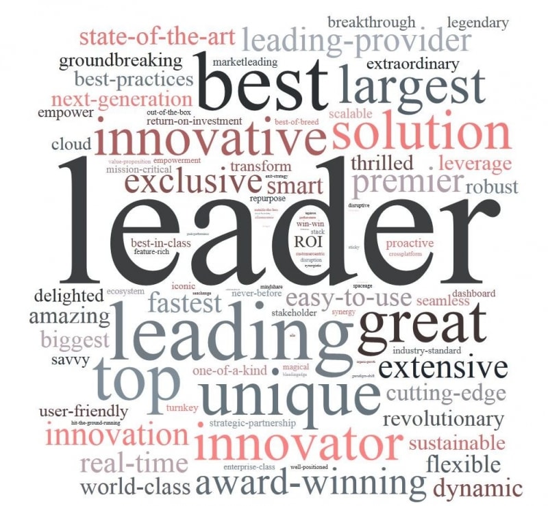 Another Word For Leader On Resume